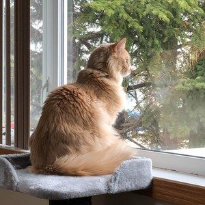 Meet your Posher, Lindsey